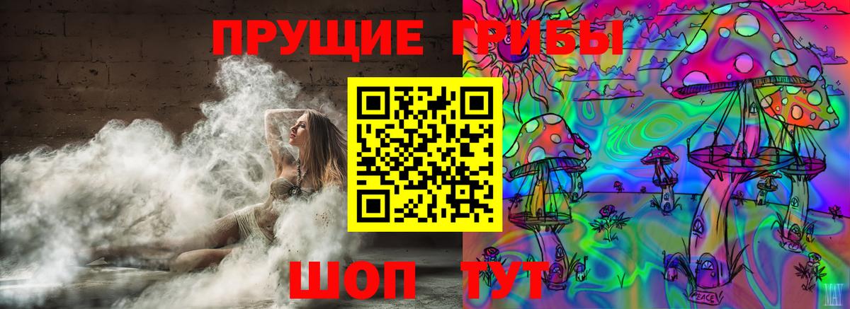 Сухой Лог  Галлюциногенные грибы Cubensis  купить наркоту  Псилоцибиновые грибы Psilocybine cubensis  Вход с VPN 