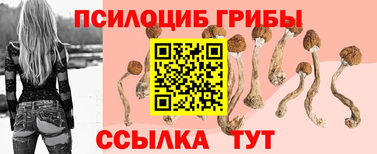 Псилоцибиновые грибы Magic Shrooms Сухой Лог