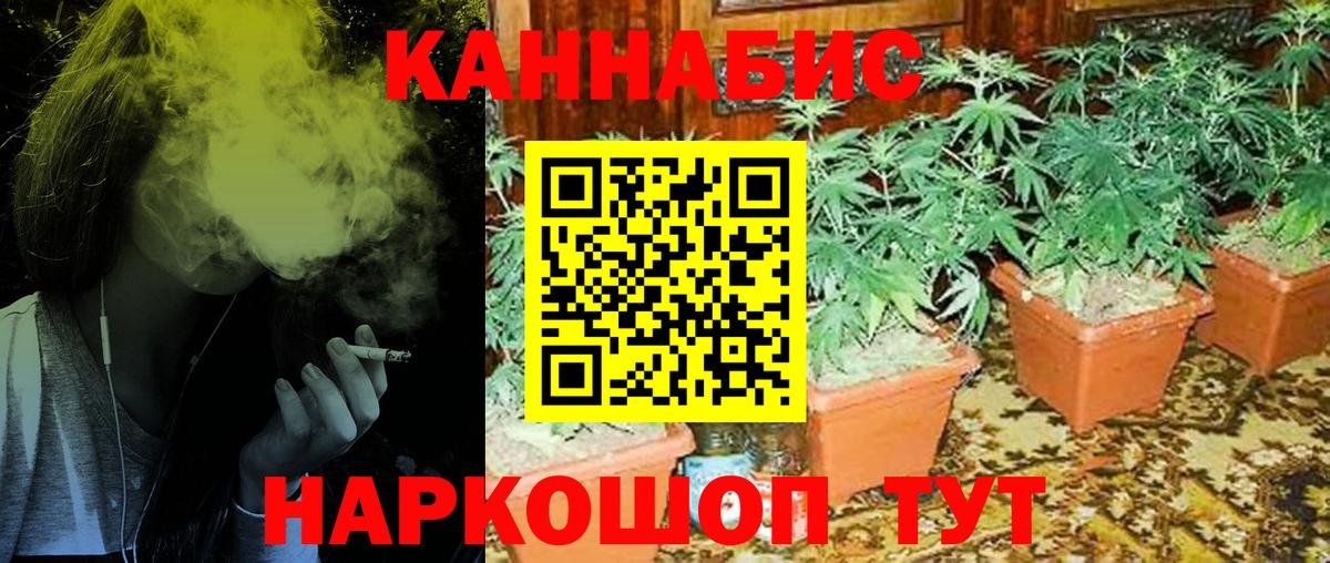 Бошки Шишки тримм Сухой Лог